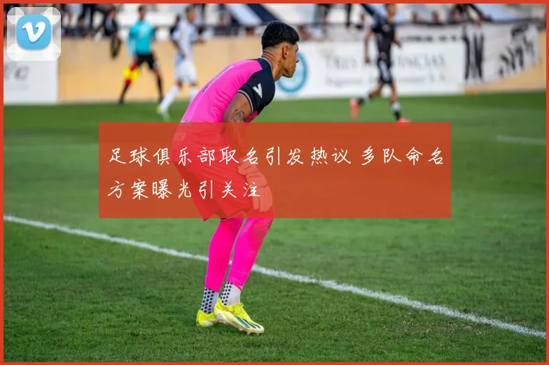 足球俱乐部取名引发热议 多队命名方案曝光引关注